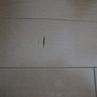 画像1347