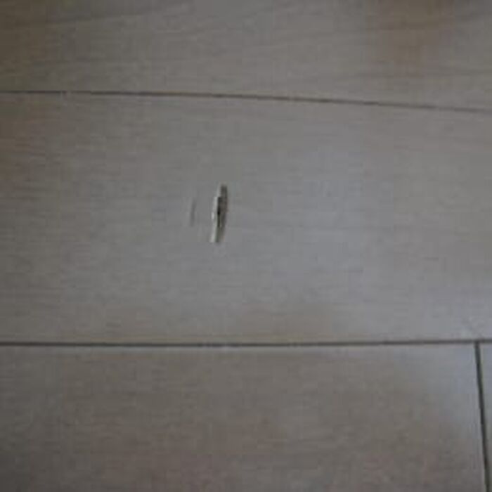 画像1347